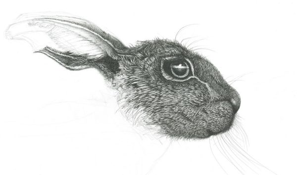 Nearly T'hare