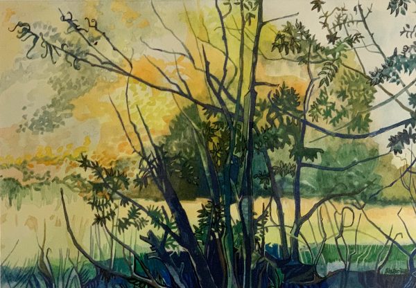Across The River Bank:1968