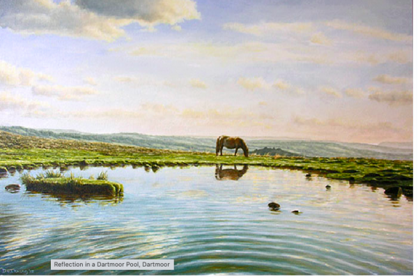 Reflection in a Dartmoor Pool: Staple Tor