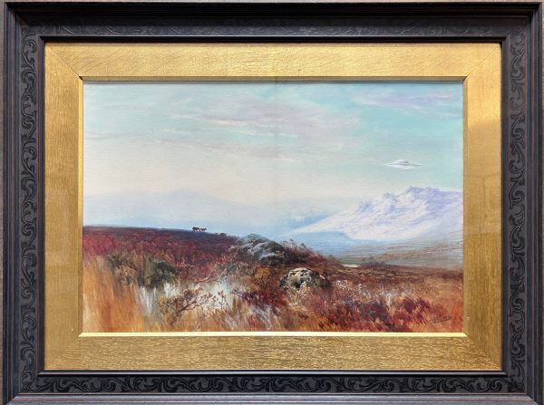 Changing Times. Dartmoor (Greator) Cira 1900 & 2024 - Image 6