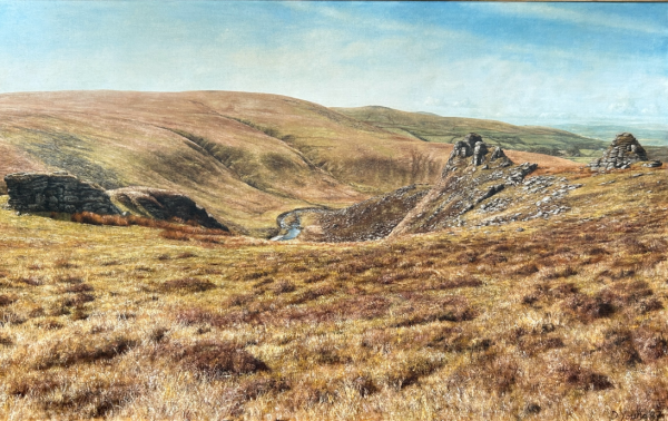 Tavy Cleave