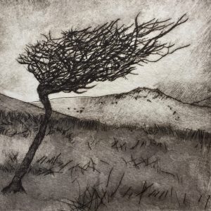 Belstone Summer artist's proof lino print of granite tor trees and moorland on Dartmoor