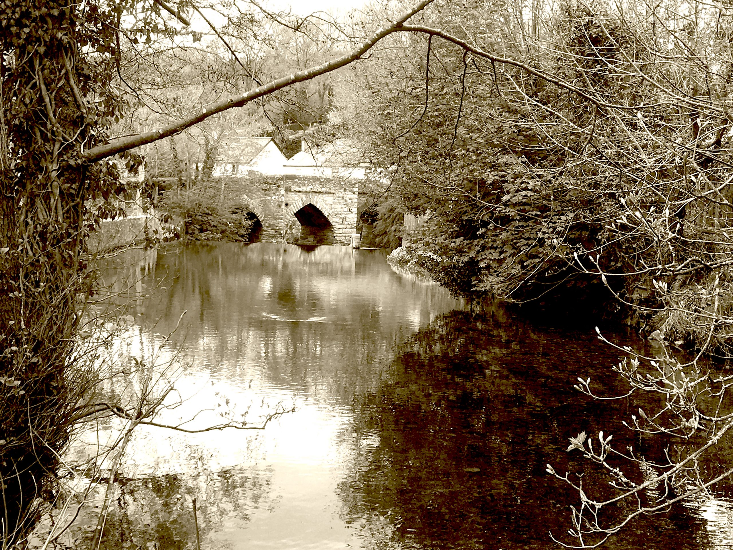 sepiahorrabridge