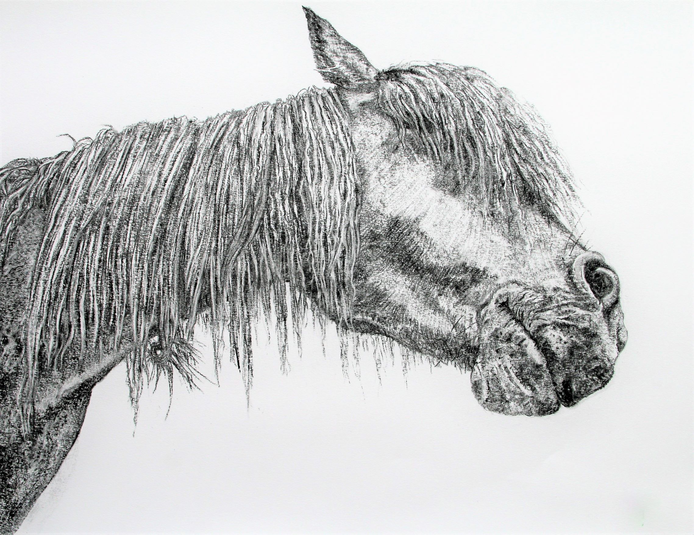 Dartmoor Pony - Wildwood Arts Dartmoor