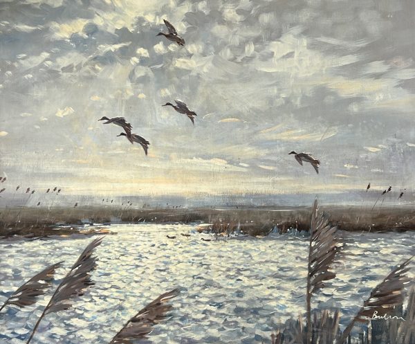 Birds on the Wing