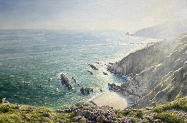 The Cove: Portwrinkle