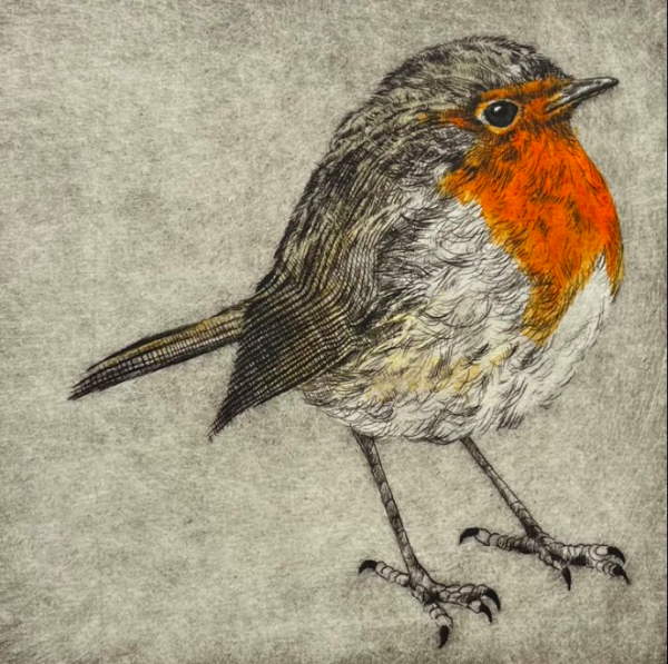 Dream Robin
