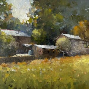 Other Dartmoor Landscapes