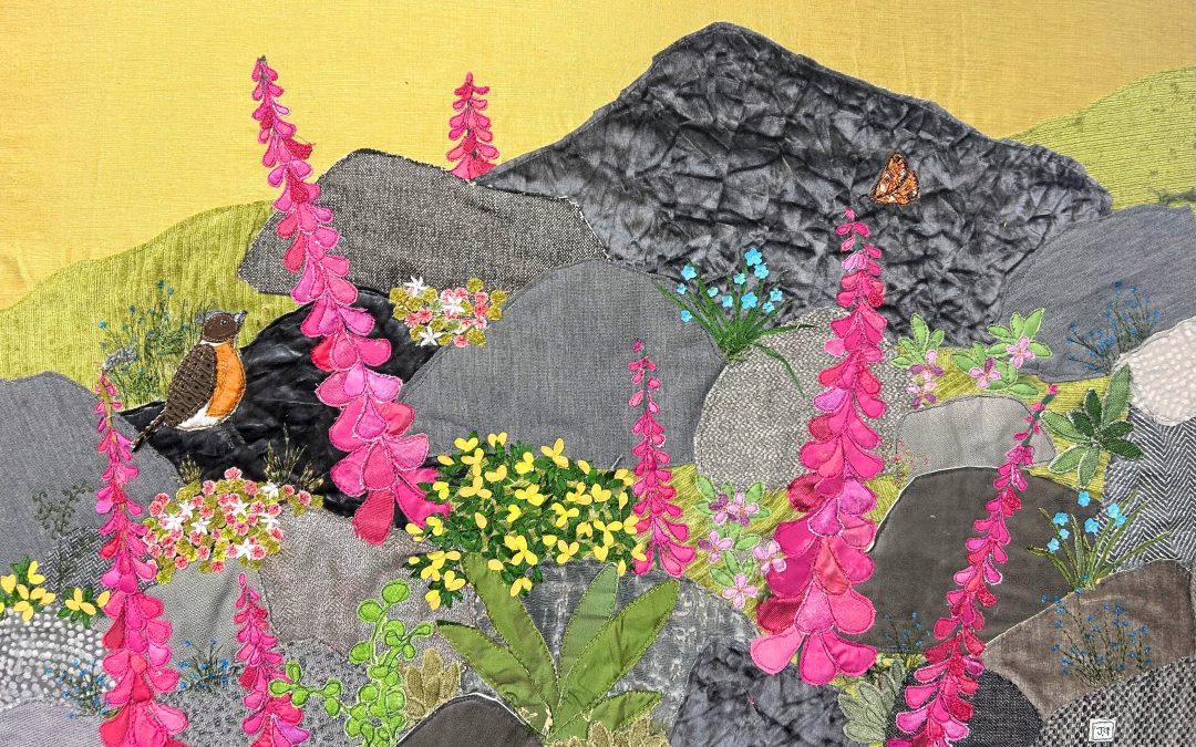 A Walk at Lowery on Dartmoor with textile artist, Jackie Gale.