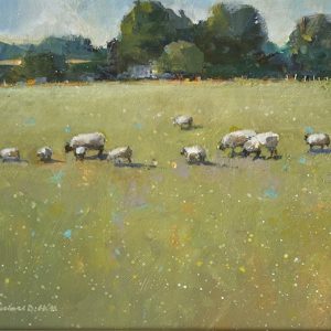 Painting of sheep in a field by Michael hill