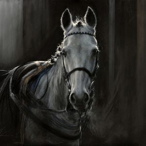 Are you Looking at Me?