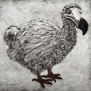 De-Extinction? The Dodo