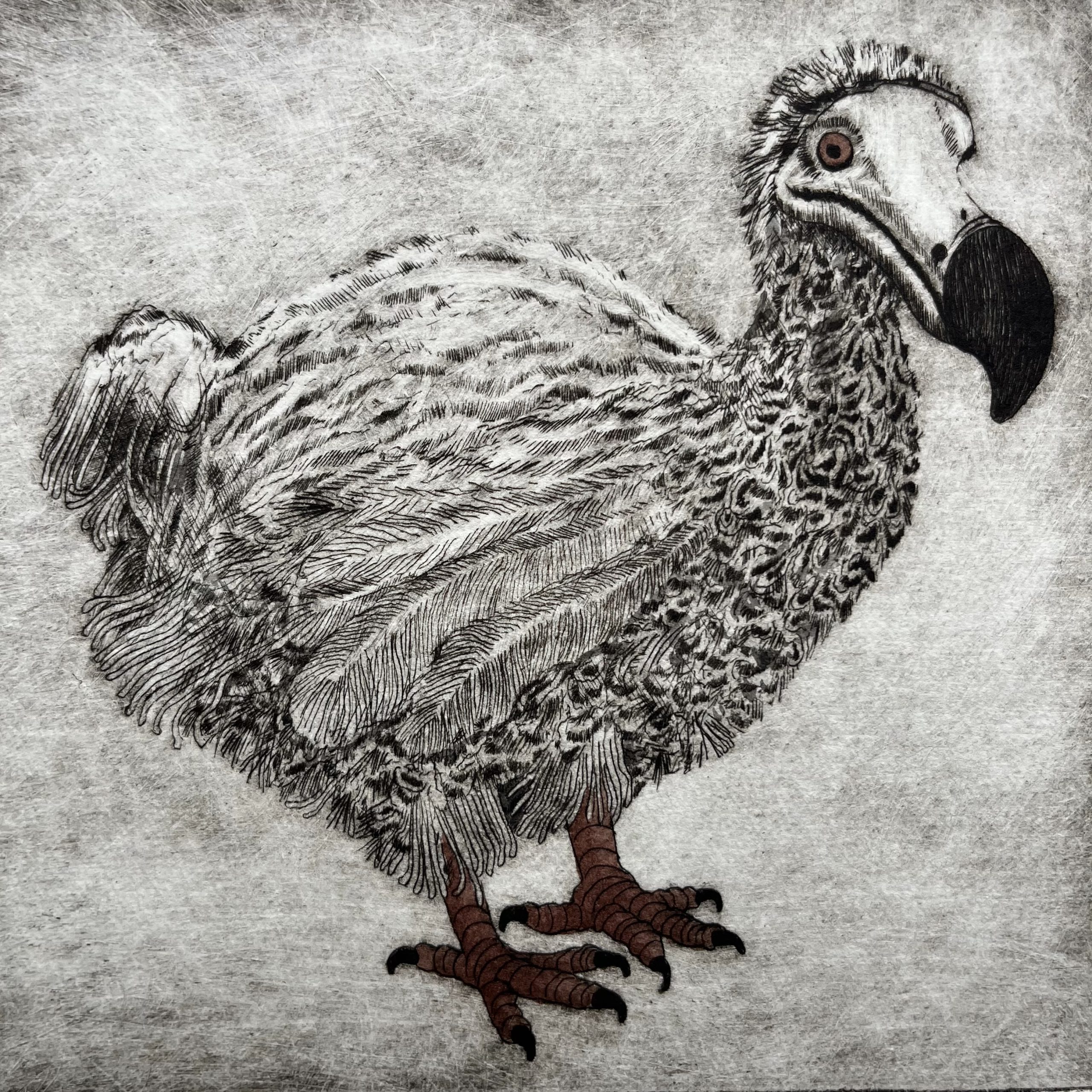 De-Extinction? The Dodo