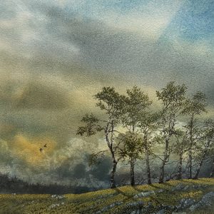 Bodmin Moor Near Temple