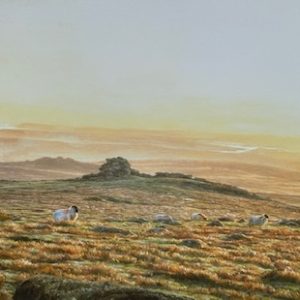 Staple Tors Landscape