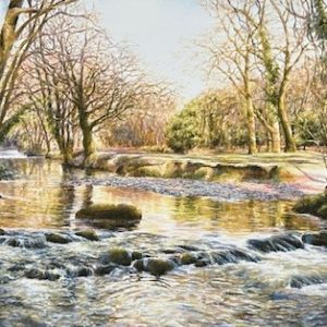 River Walkham near Double Waters