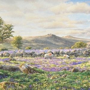 Bluebells at Tavy Cleave