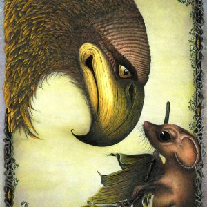 Children's Book Illustrations