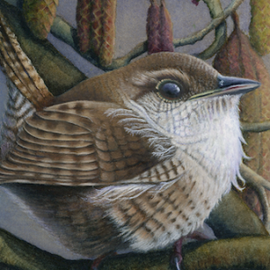 Cheri Hunston Originals